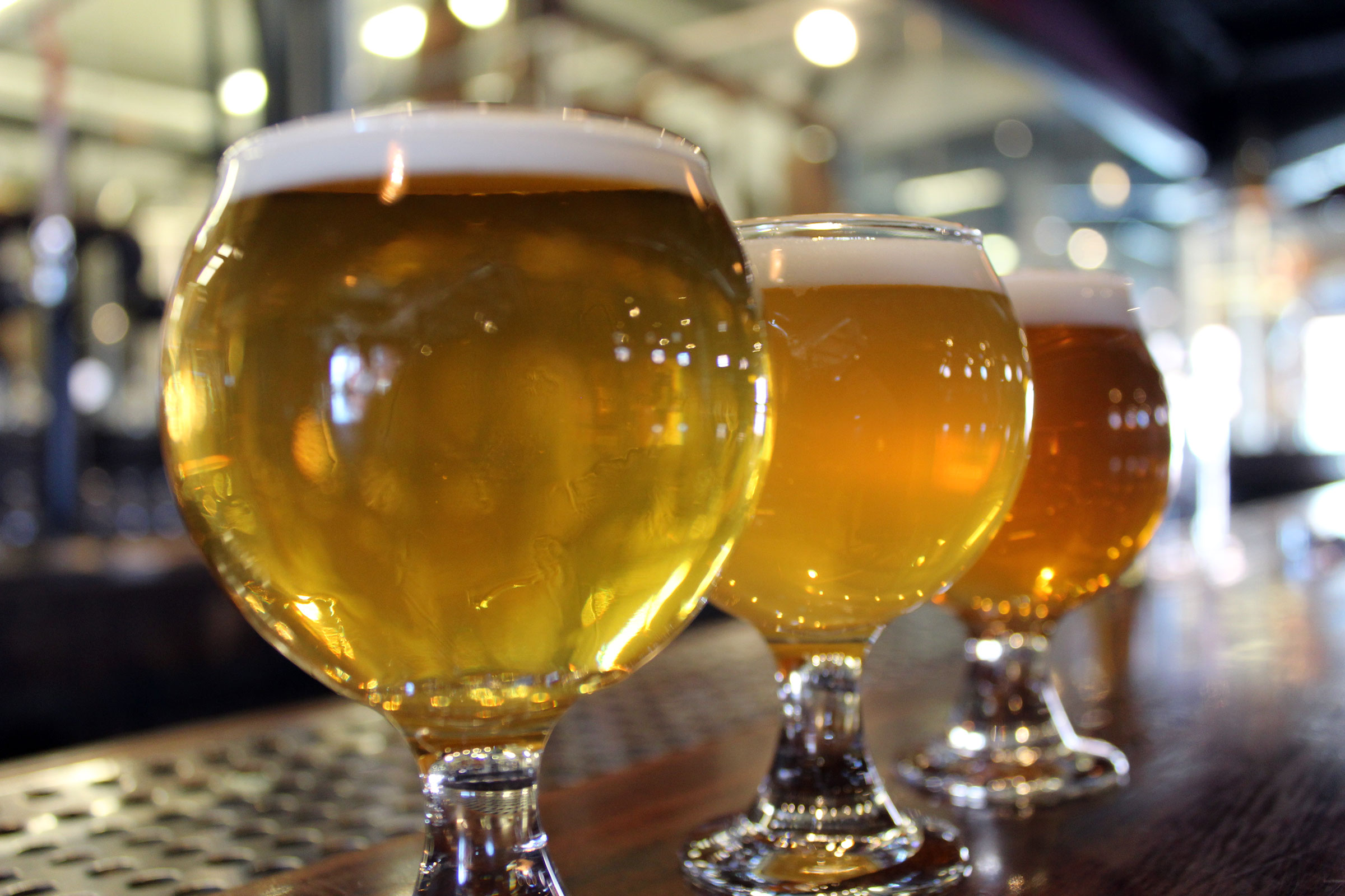 IPA Lineup at Liquid Riot